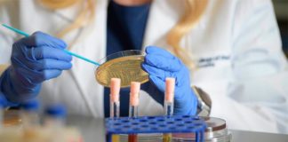 Identifican varias bacterias clave en la vaginosis bacteriana Un nuevo estudio examinó cómo las bacterias específicas alteran el microambiente vaginal y, en última instancia, influyen en el equilibrio entre la salud y la enfermedad, en especial con la vaginosis bacteriana