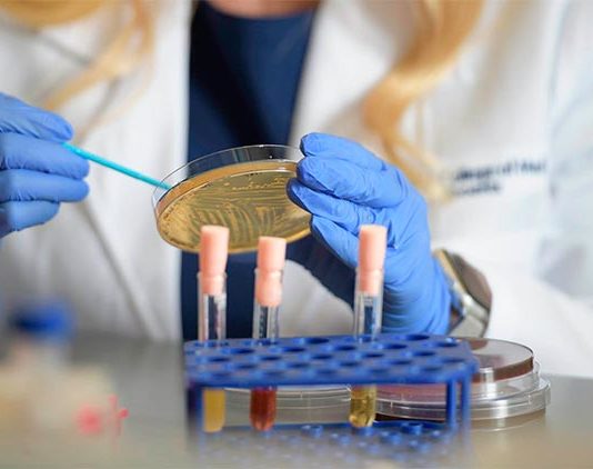 Identifican varias bacterias clave en la vaginosis bacteriana Un nuevo estudio examinó cómo las bacterias específicas alteran el microambiente vaginal y, en última instancia, influyen en el equilibrio entre la salud y la enfermedad, en especial con la vaginosis bacteriana