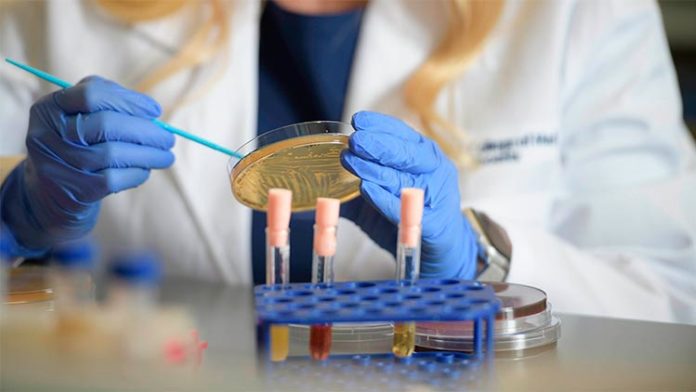 Un nuevo estudio examinó cómo las bacterias específicas alteran el microambiente vaginal y, en última instancia, influyen en el equilibrio entre la salud y la enfermedad, en especial con la vaginosis bacteriana Un nuevo estudio examinó cómo las bacterias específicas alteran el microambiente vaginal y, en última instancia, influyen en el equilibrio entre la salud y la enfermedad, en especial con la vaginosis bacteriana