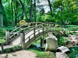 Los parques urbanos son esenciales para nuestra salud y la diversidad, según un estudio Parques urbanos