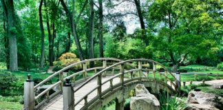 Los parques urbanos son esenciales para nuestra salud y la diversidad, según un estudio Parques urbanos