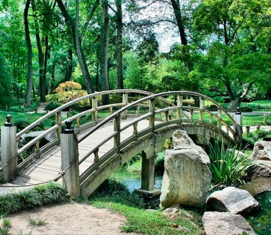Los parques urbanos son esenciales para nuestra salud y la diversidad, según un estudio Parques urbanos