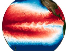 Simulaciones a ultra alta resolución indican menos eventos de El Niño y La Niña en un mundo más cálido Temperaturas de la superficie del océano simuladas con una resolución sin precedentes utilizando un modelo acoplado atmósfera-océano. La extensa estructura ondulada fría en el Pacífico ecuatorial corresponde a una ola de inestabilidad tropical