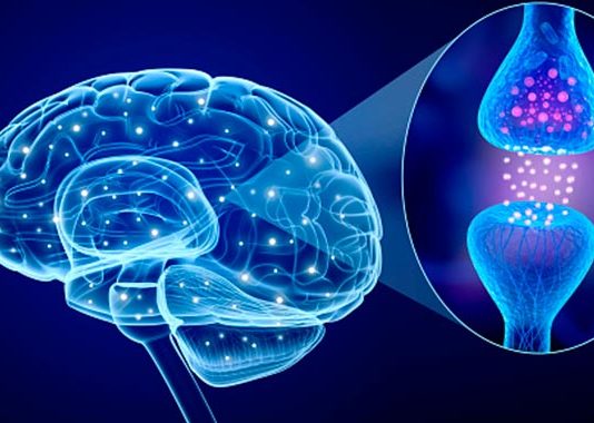 Reparan un defecto de reciclaje mitocondrial relacionado con la enfermedad de Parkinson La enfermedad de Parkinson y la dopamina