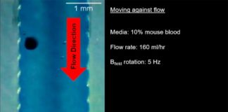 MANiACs: Pequeños robots para administrar medicamentos al sistema nervioso central Los robots MANiAC se movieron corriente arriba contra un flujo de fluido similar al que encontrarían en el sistema nervioso