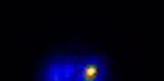 Para colonizar diferentes entornos las bacterias sintonizan con precisión sus nanomotores Bacterias: La microscopía de una sola molécula revela un motor de aproximadamente 50 nanómetros en la bacteria que se muestra aquí como una mancha amarilla brillante