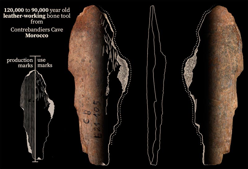 Una herramienta de hueso de la cueva de Contrebandiers, Marruecos, que se utilizó para trabajar el cuero hace 120.000 a 90.000 años
