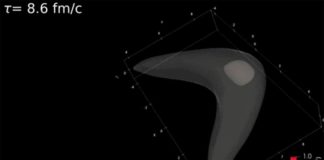 Analizan más de cerca el interior del fluido perfecto, el plasma de quarks-gluones Una onda de Mach supersónica a medida que evoluciona en un plasma de quarks-gluones en expansión