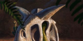 Las serpientes modernas evolucionaron a partir de las pocas supervivientes del asteroide que mató a los dinosaurios Todas las serpientes vivientes evolucionaron a partir de un puñado de especies que sobrevivieron al impacto de un asteroide gigante que acabó con los dinosaurios y la mayoría de los seres vivos al final del Cretácico