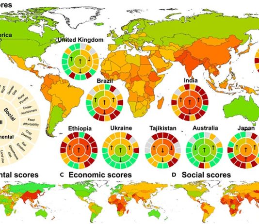 Primera evaluación cuantitativa por países sobre la agricultura sostenible en el mundo con impactos económicos y sociales La Matriz de agricultura sostenible mide los impactos ambientales, económicos y sociales de la agricultura de manera sostenible a nivel nacional para ayudar a informar las políticas y acciones nacionales hacia la agricultura sostenible en todo el mundo