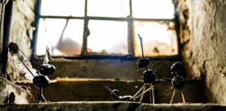 El caso Hartung: Noir danés canónico y entretenido El caso Hartung (Netflix)