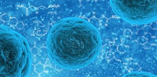 Las células se mueven controlando la rigidez de sus vecinas, lo que puede tener implicaciones en el cáncer Células