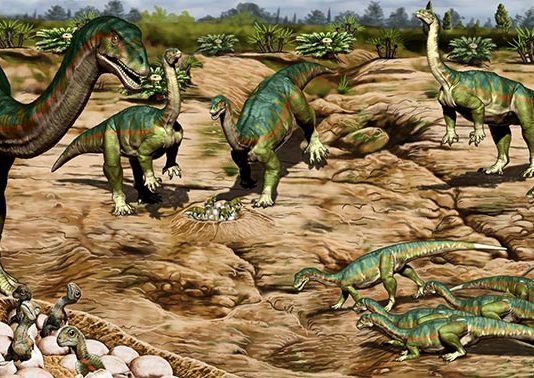 Los primeros dinosaurios pueden haber vivido en manadas sociales antes de lo que se creía Los primeros dinosaurios pueden haber vivido en manadas sociales antes de lo que se creía