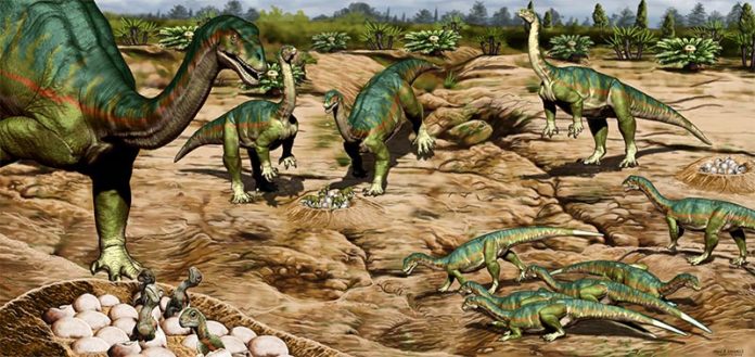 Los primeros dinosaurios pueden haber vivido en manadas sociales antes de lo que se creía