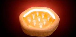 Una nueva fase del grafeno podría revolucionar el enrutamiento de información Utilizando una nueva fase del grafeno que descubrieron, los investigadores de Purdue han desarrollado un "circulador topológico" que puede mejorar la forma en que la información se enruta y procesa en un chip