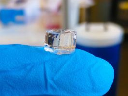 Un hidrogel mata las bacterias resistentes a los antibióticos e induce la respuesta inmunitaria El hidrogel dendrítico es una protección sin antibióticos para heridas que mata las bacterias resistentes a los medicamentos