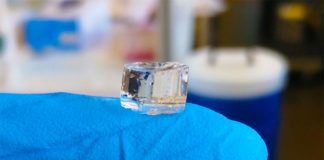 Un hidrogel mata las bacterias resistentes a los antibióticos e induce la respuesta inmunitaria El hidrogel dendrítico es una protección sin antibióticos para heridas que mata las bacterias resistentes a los medicamentos