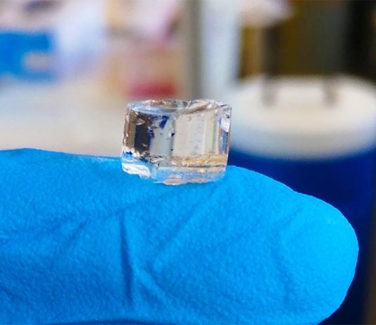 Un hidrogel mata las bacterias resistentes a los antibióticos e induce la respuesta inmunitaria El hidrogel dendrítico es una protección sin antibióticos para heridas que mata las bacterias resistentes a los medicamentos