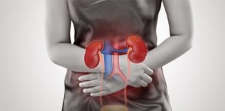 Posible nueva estrategia para combatir la infección del tracto urinario Infección del tracto urinario