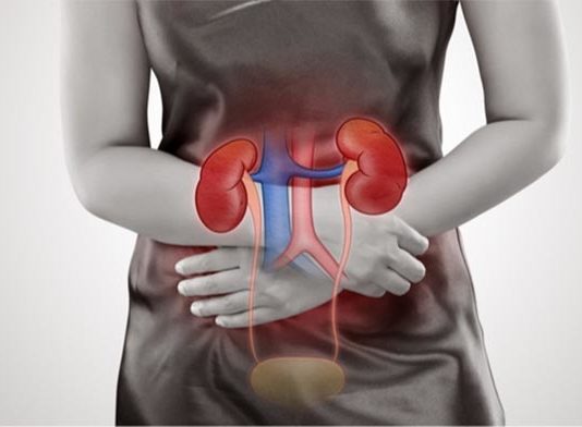 Posible nueva estrategia para combatir la infección del tracto urinario Infección del tracto urinario