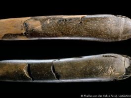 ¿Cómo surgieron los juguetes sexuales? Juguetes sexuales. El primer dildo del que se tiene noticia en la historia humana fue hallado en el yacimiento arqueológico de Hohle Fels