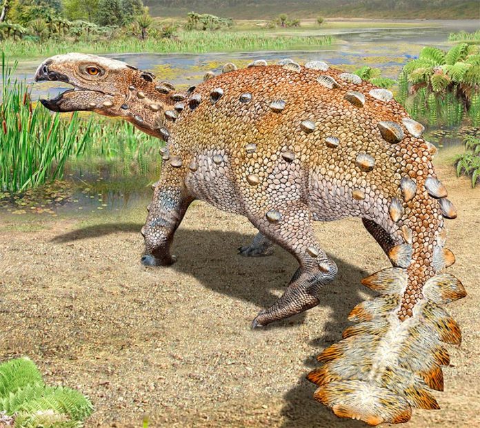 Esta ilustración proporcionada por Mauricio Alvarez muestra un Stegouros, un dinosaurio Esta ilustración proporcionada por Mauricio Alvarez muestra un Stegouros, un dinosaurio