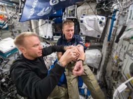 Astronautas: Estar en el espacio destruye más glóbulos rojos de lo que se pensaba Astronautas: Primera extracción de sangre del astronauta Tim Peake completada en el espacio. La muestra se tomó como parte del experimento MARROW