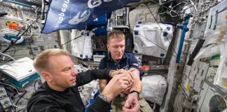 Astronautas: Estar en el espacio destruye más glóbulos rojos de lo que se pensaba Astronautas: Primera extracción de sangre del astronauta Tim Peake completada en el espacio. La muestra se tomó como parte del experimento MARROW