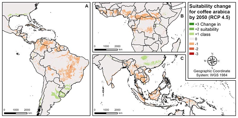 Cambio de aptitud de tierras de cultivo para café en 2050 Cambio de aptitud de tierras de cultivo para café en 2050