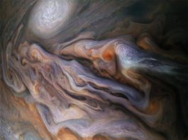 La física oceánica explica los ciclones en Júpiter Una multitud de nubes arremolinadas en el dinámico Cinturón Templado Norte de Júpiter se captura en esta imagen de la nave espacial Juno de la NASA