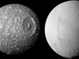 Evidencia de un océano interno en Mimas, la pequeña luna de Saturno Un científico del SwRI descubrió que la pequeña luna de Saturno, Mimas (izquierda), probablemente tenga algo en común con su vecina más grande, Encélado: un océano interno debajo de una gruesa superficie helada