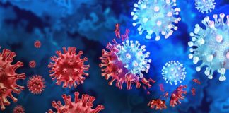 Las células T de memoria responden a Ómicron después de la infección y la vacunación Variante Omicron