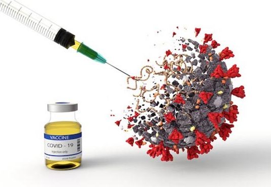 Estudio: Las vacunas actuales enseñan a las células T a luchar contra Ómicron Ómicron. Las vacunas Pfizer-BioNTech, Moderna, J&J/Janssen y Novavax COVID-19 incitan al cuerpo a producir células T efectivas y duraderas contra el SARS-CoV-2