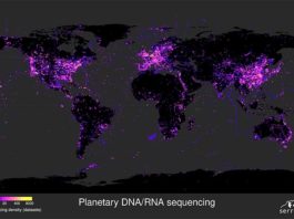 Encuentran 117.000 nuevos virus de ARN (9 especies nuevas de coronavirus) Mapa de datos de secuenciación mundial de virus de ARN