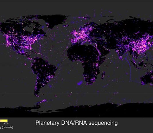 Encuentran 117.000 nuevos virus de ARN (9 especies nuevas de coronavirus) Mapa de datos de secuenciación mundial de virus de ARN