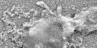 Nuevo método puede desarmar la resistencia a los antibióticos en bacterias mortales Una bacteria resistente a los antibióticos (Klebsiella pneumoniae) se trata con un antibiótico y un inhibidor de DsbA, lo que hace que colapse y muera