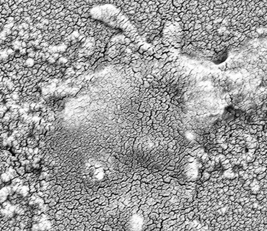 Nuevo método puede desarmar la resistencia a los antibióticos en bacterias mortales Una bacteria resistente a los antibióticos (Klebsiella pneumoniae) se trata con un antibiótico y un inhibidor de DsbA, lo que hace que colapse y muera