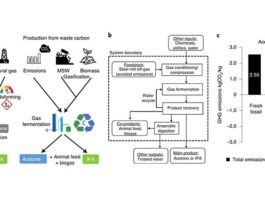 Reciclan con bacterias los desechos de CO2 en productos químicos valiosos Los biólogos sintéticos han diseñado bacterias para convertir los desechos de carbono en sustancias químicas valiosas. El enfoque de carbono negativo podría contribuir a una economía de cero emisiones netas