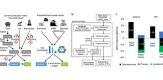 Reciclan con bacterias los desechos de CO2 en productos químicos valiosos Los biólogos sintéticos han diseñado bacterias para convertir los desechos de carbono en sustancias químicas valiosas. El enfoque de carbono negativo podría contribuir a una economía de cero emisiones netas
