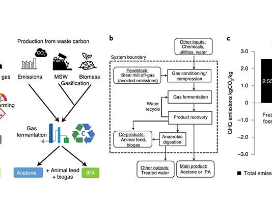 Reciclan con bacterias los desechos de CO2 en productos químicos valiosos Los biólogos sintéticos han diseñado bacterias para convertir los desechos de carbono en sustancias químicas valiosas. El enfoque de carbono negativo podría contribuir a una economía de cero emisiones netas