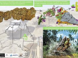 Hallan un cocodrilo de 93 Ma que devoró a un dinosaurio joven Hallan un un cocodrilo de 93 millones de años que devoró a un dinosaurio joven