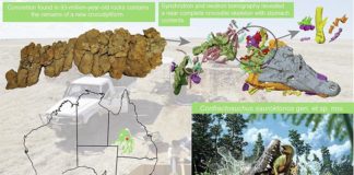 Hallan un cocodrilo de 93 Ma que devoró a un dinosaurio joven Hallan un un cocodrilo de 93 millones de años que devoró a un dinosaurio joven