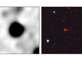 Descubren la separación más amplia de un par de enanas marrones hasta la fecha Descubren la separación más amplia de un par de enanas marrones hasta la fecha