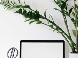 Los productos reacondicionados en la conservación del medio ambiente fantasymundo