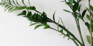 Los productos reacondicionados en la conservación del medio ambiente fantasymundo