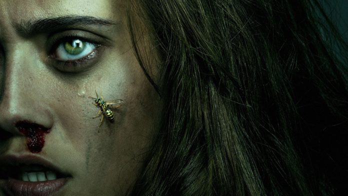 yellowjackets1 yellowjackets