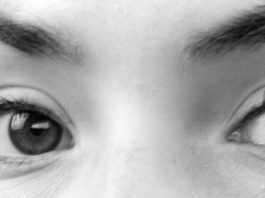 Vladivostok Circus, de Élisa Shua Dusapin: una pequeña delicia sobre la mente humana