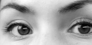 Vladivostok Circus, de Élisa Shua Dusapin: una pequeña delicia sobre la mente humana