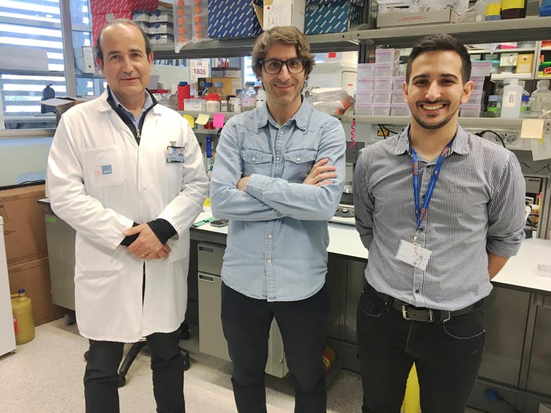 De izquierda a derecha Joan Albanell, Toni Celià-Terrassa y Iván Pérez-Núñez De izquierda a derecha Joan Albanell, Toni Celià-Terrassa y Iván Pérez-Núñez