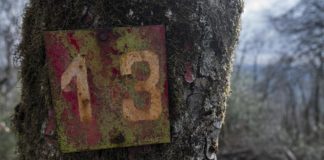 Breve historia de la superstición, de Stuart Vyse: Interesante, divertido, imprescindible Superstición, número 13